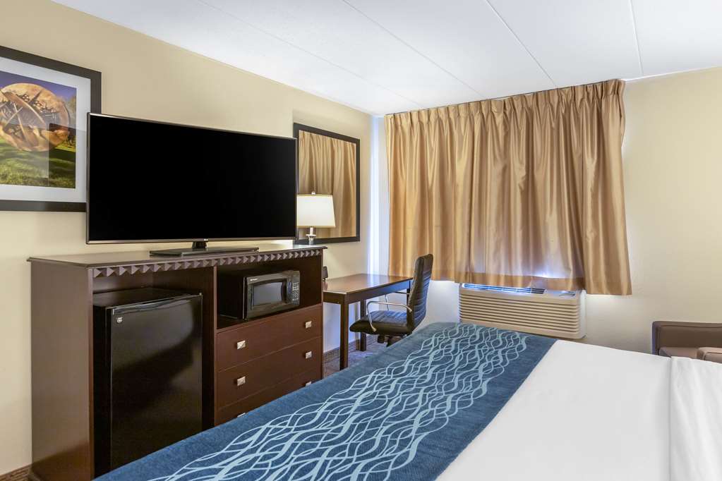 Comfort Inn Grand Rapids Airport - photo 13