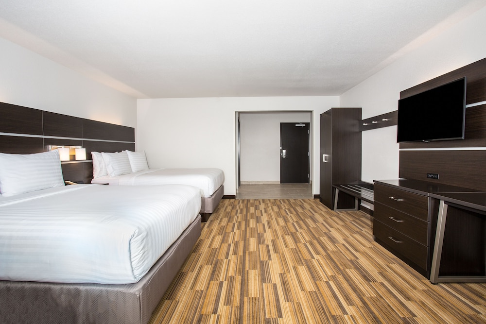 Holiday Inn Express & Suites Rapid City Rushmore South by IHG - photo 16