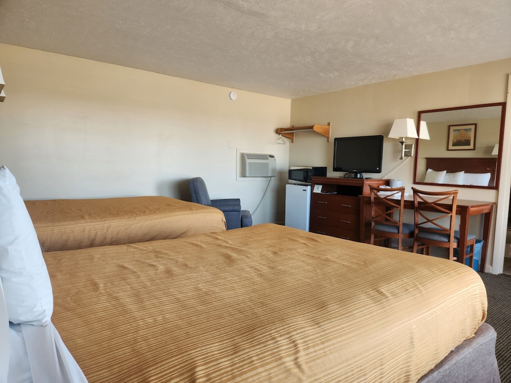 Royal Motel - photo 18