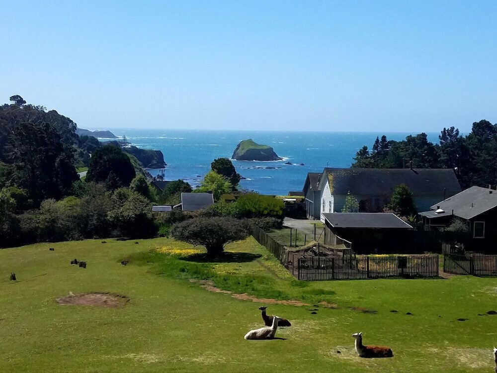 SCP Mendocino Inn and Farm - photo 81