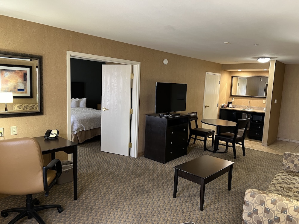 Hampton Inn & Suites Barstow - photo 9