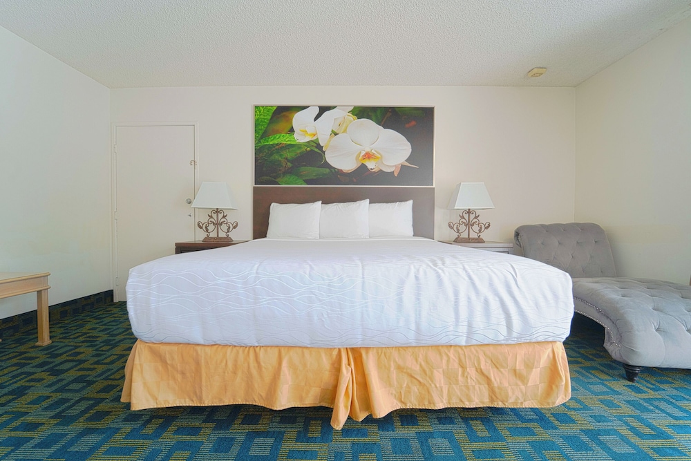 Royal Plaza Inn Indio - photo 23