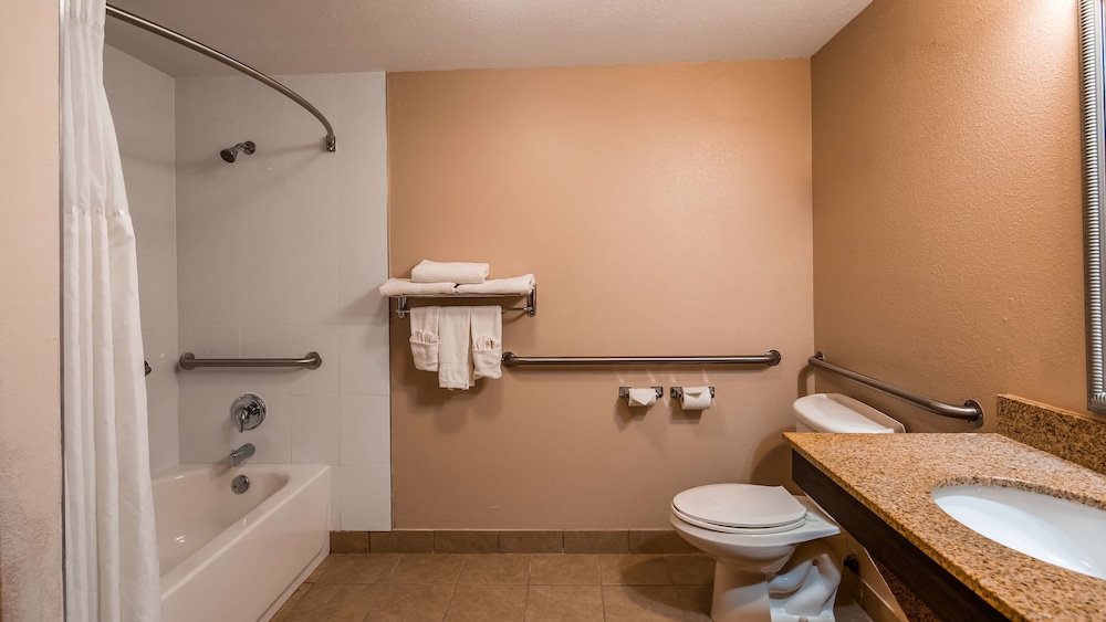 Best Western Plus Bradenton Hotel & Suites - photo 11