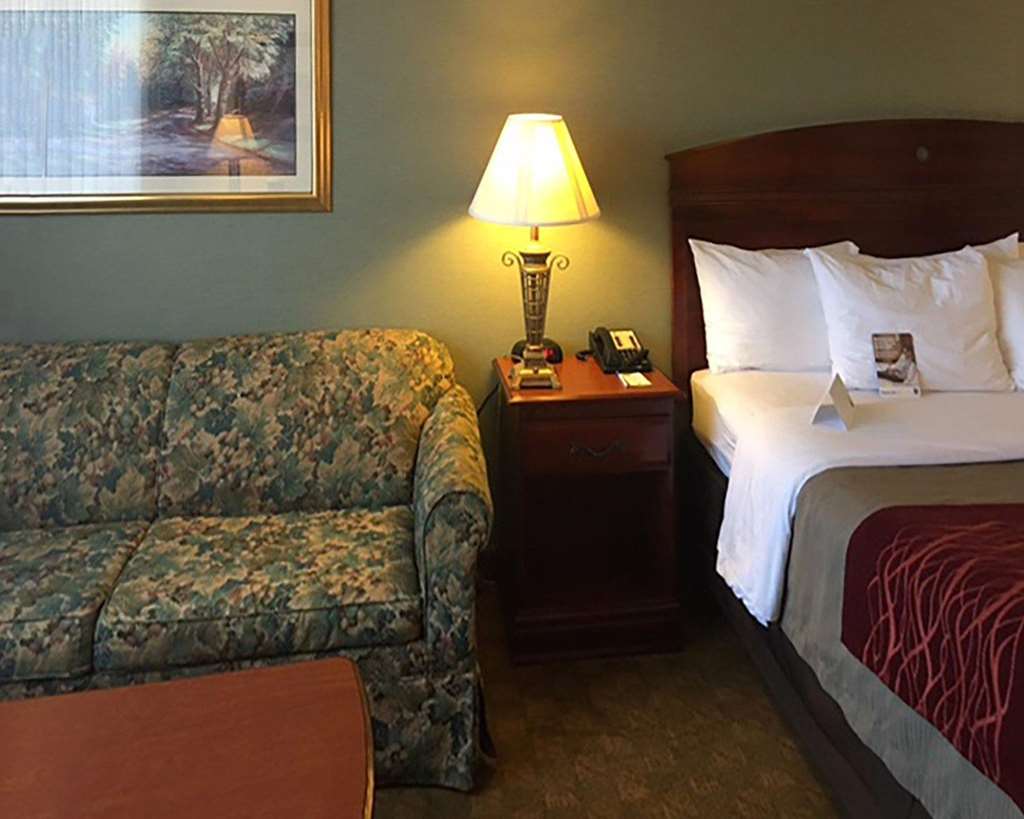 Comfort Inn Springfield - photo 3