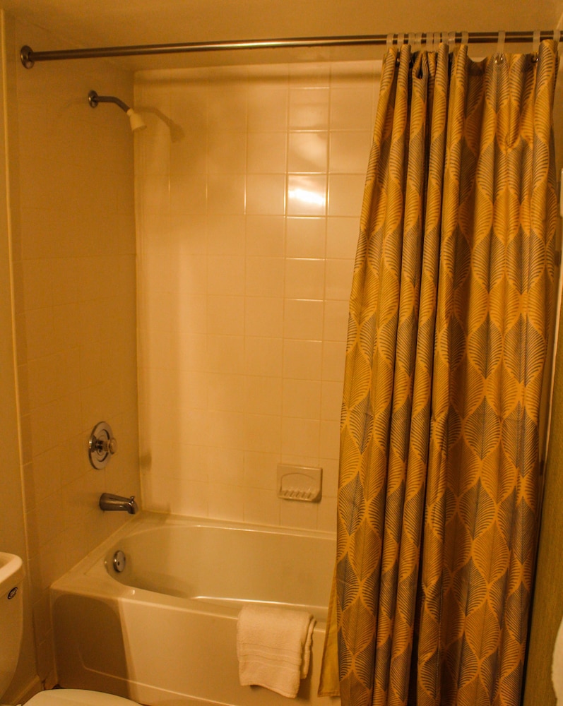 Discovery Beach Resort - photo 17