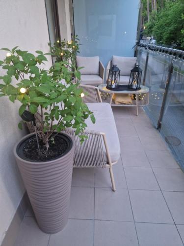 Apartament MIODOWY przy plaży — 4-Star Luxury Hotel in Krynica Morska, Poland