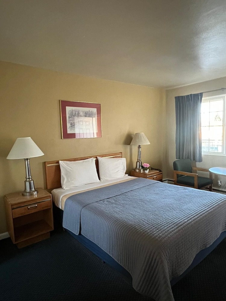 Marco Polo Motel - photo 10