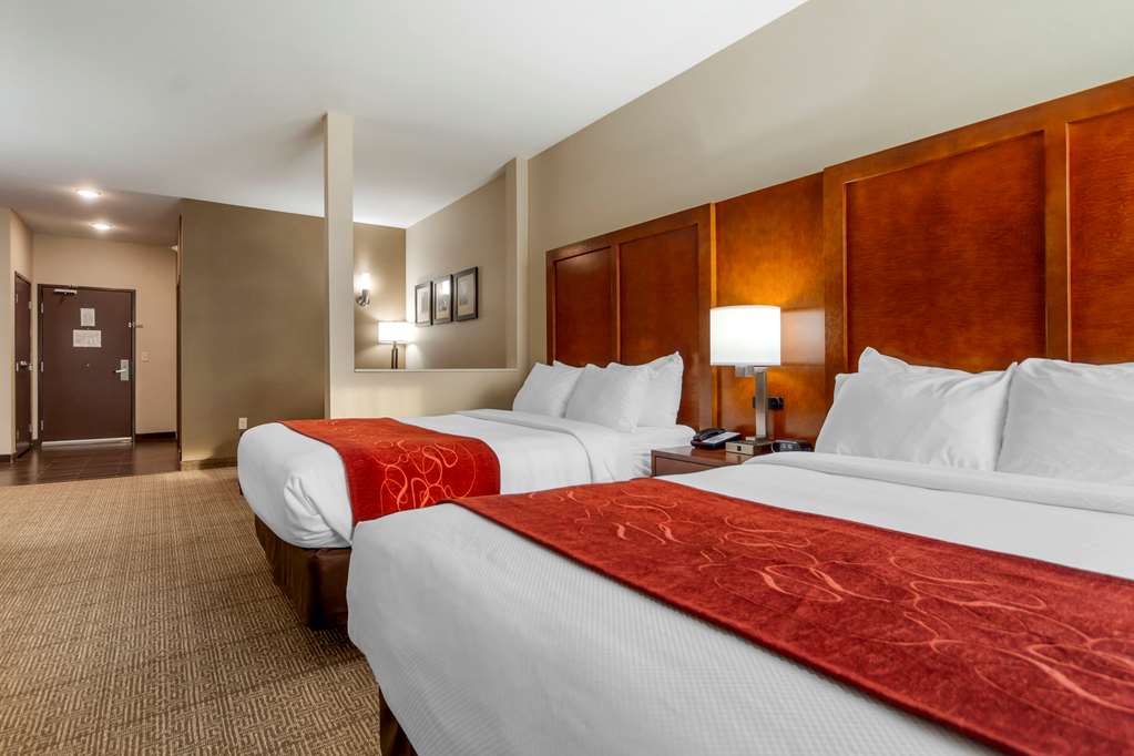 Comfort Suites La Vista Omaha - photo 15
