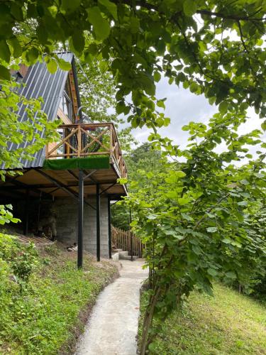 Forest House