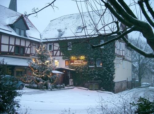 Fritz'es Goldener Stern — hotel in Niedenstein
