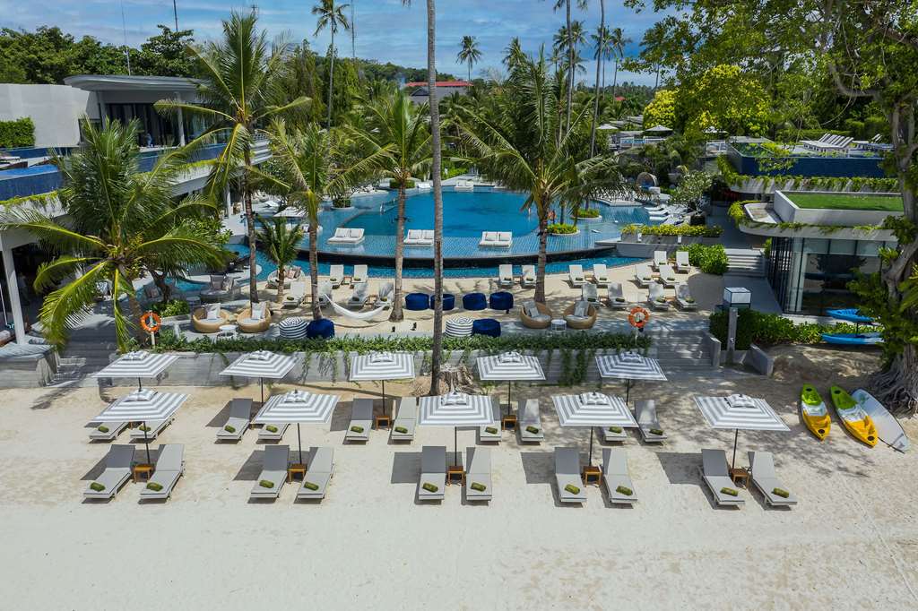 מראה חיצוני