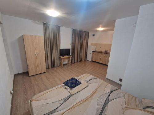 Seaward in Costinesti, Romania