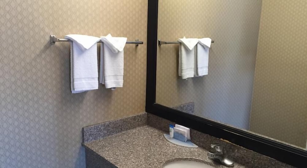 Regency Inn SFO Airport - photo 25