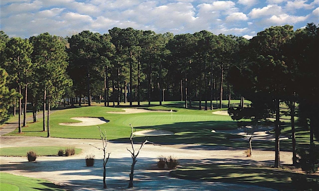 Sea Trail Golf Resort & Convention Center - photo 10