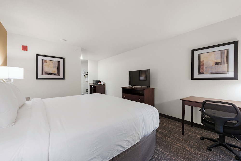 Cobblestone Hotel & Suites Urbana - photo 46