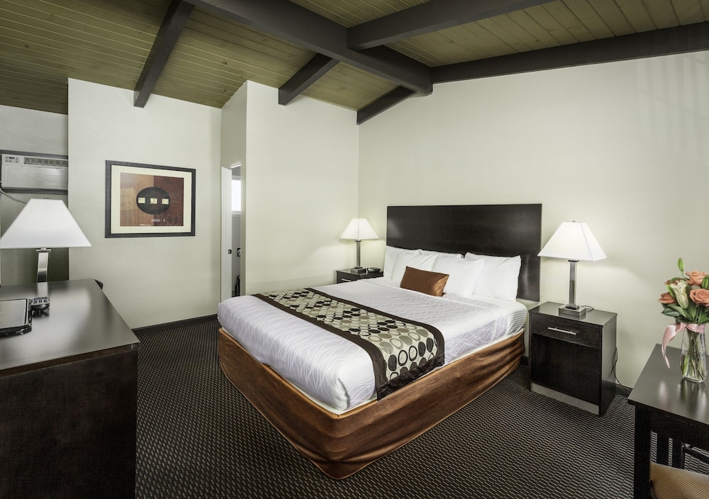 Thunderbird Lodge - photo 9