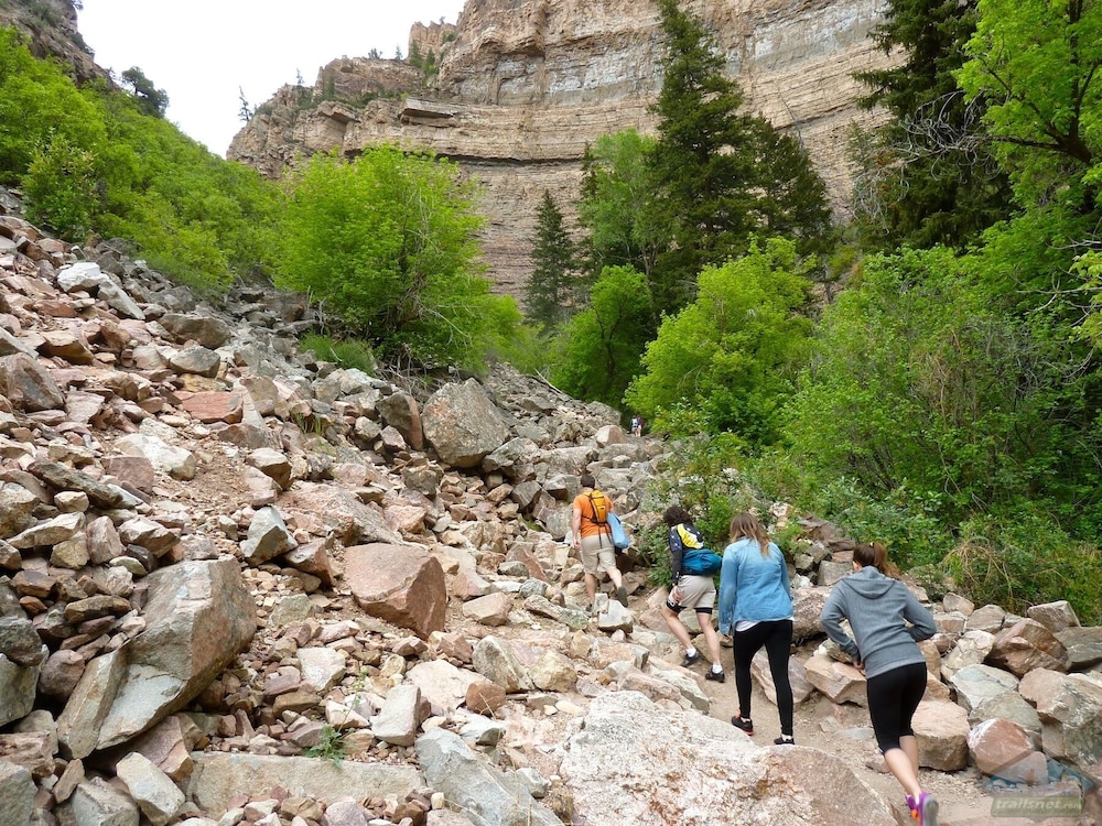 Residence Inn by Marriott Glenwood Springs - photo 57