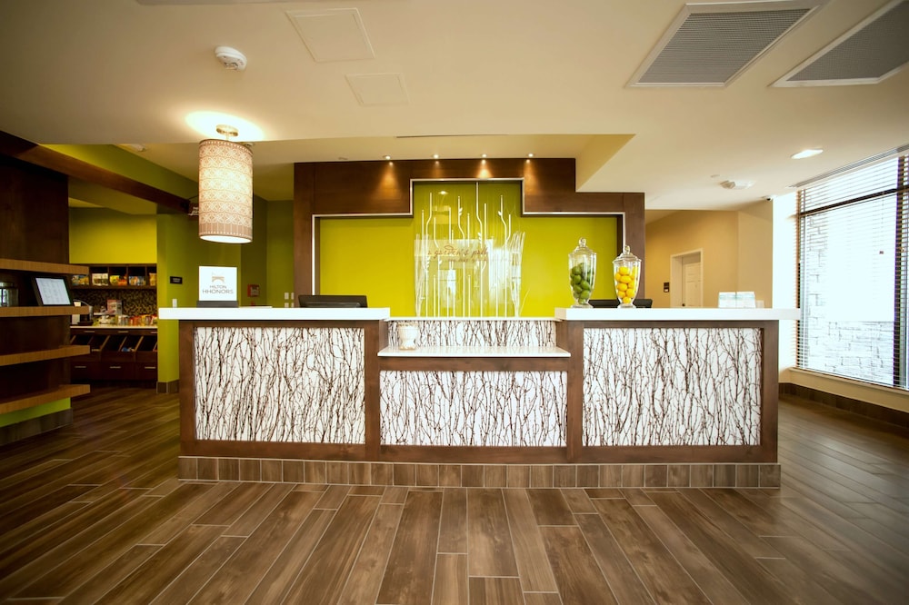 Hilton Garden Inn San Antonio Live Oak Conference Center - photo 8