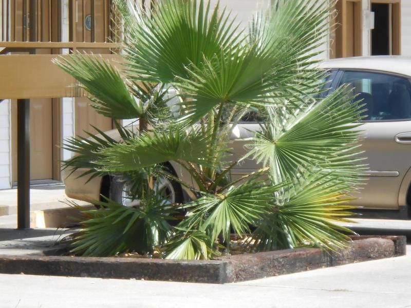 Glennville Inn - photo 7