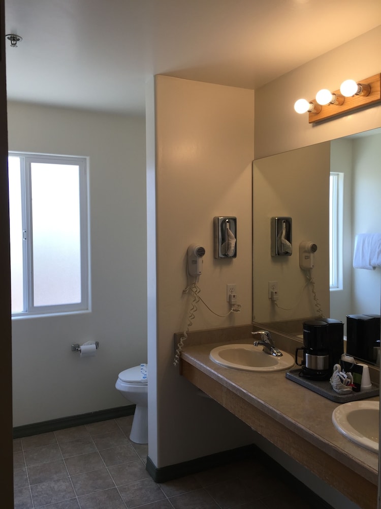 Holland Inn & Suites - photo 31