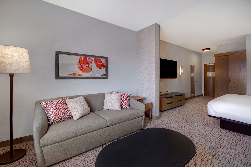 Fairfield by Marriott Inn & Suites Lancaster Palmdale - photo 15