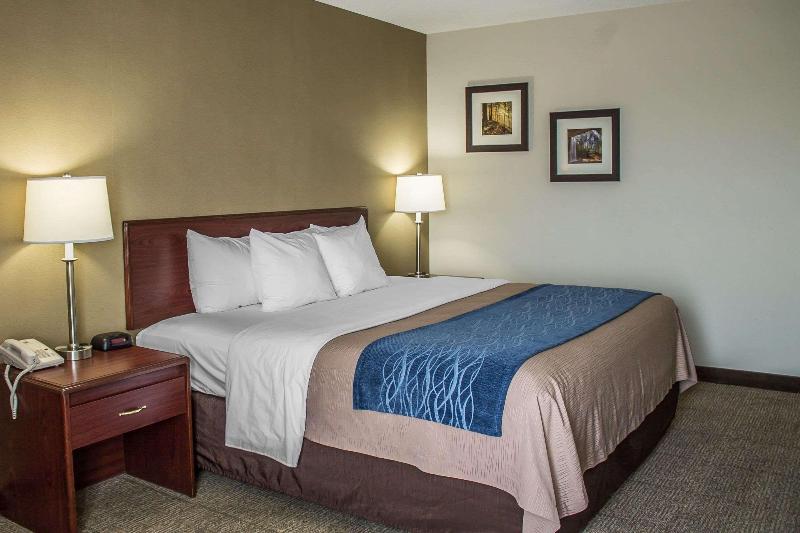 Comfort Inn - photo 15