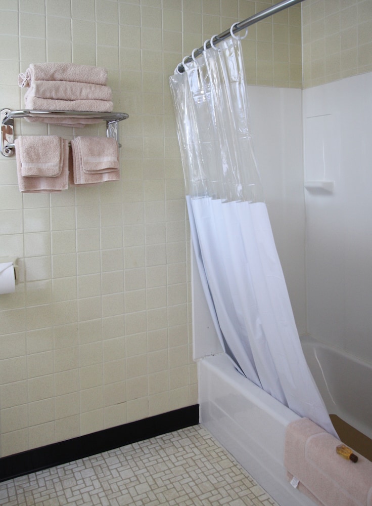 The Bluebird Motel - photo 14