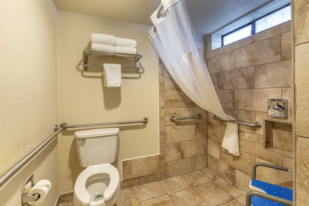 Best Western Arizonian Inn - photo 21