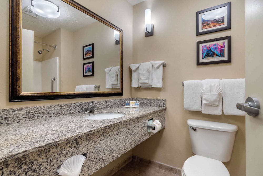 Comfort Suites Speedway Kansas City - photo 13