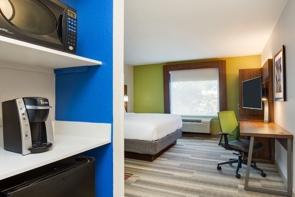 Holiday Inn Express Hotel & Suites Tampa Fairgrounds Casino by IHG - photo 10