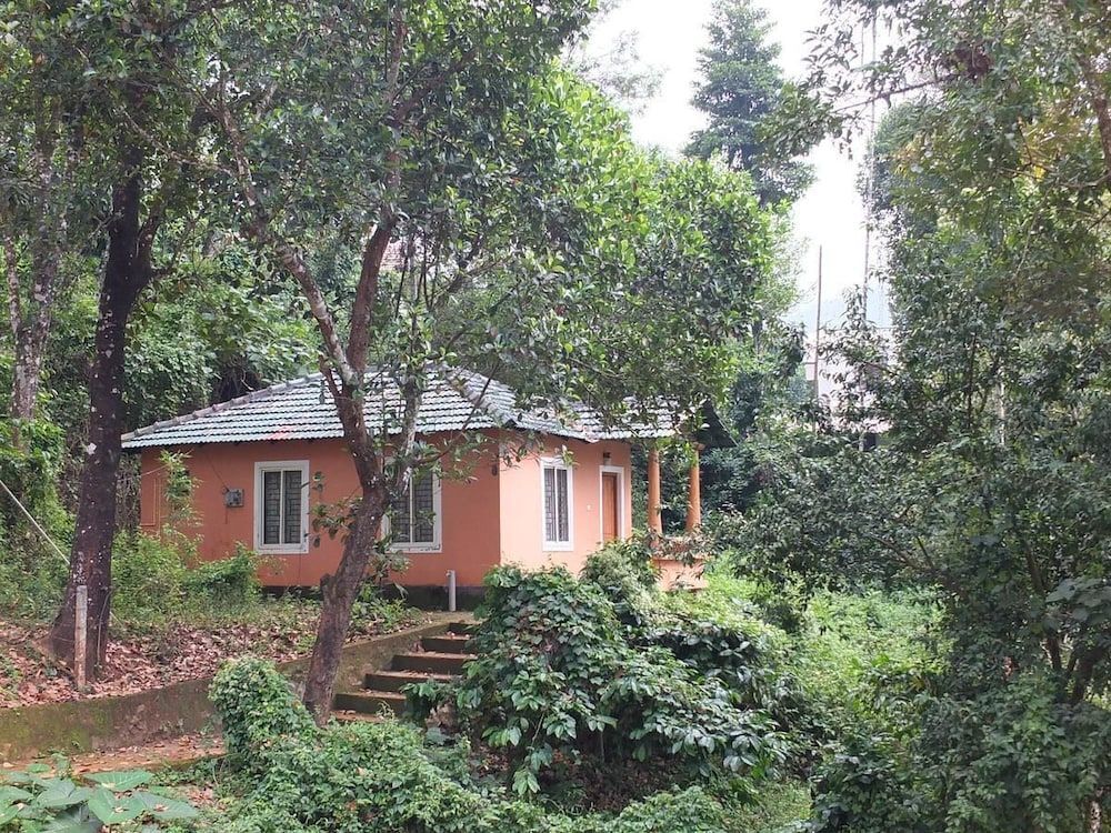 Jungle Valley Resort in Kalpatta, India