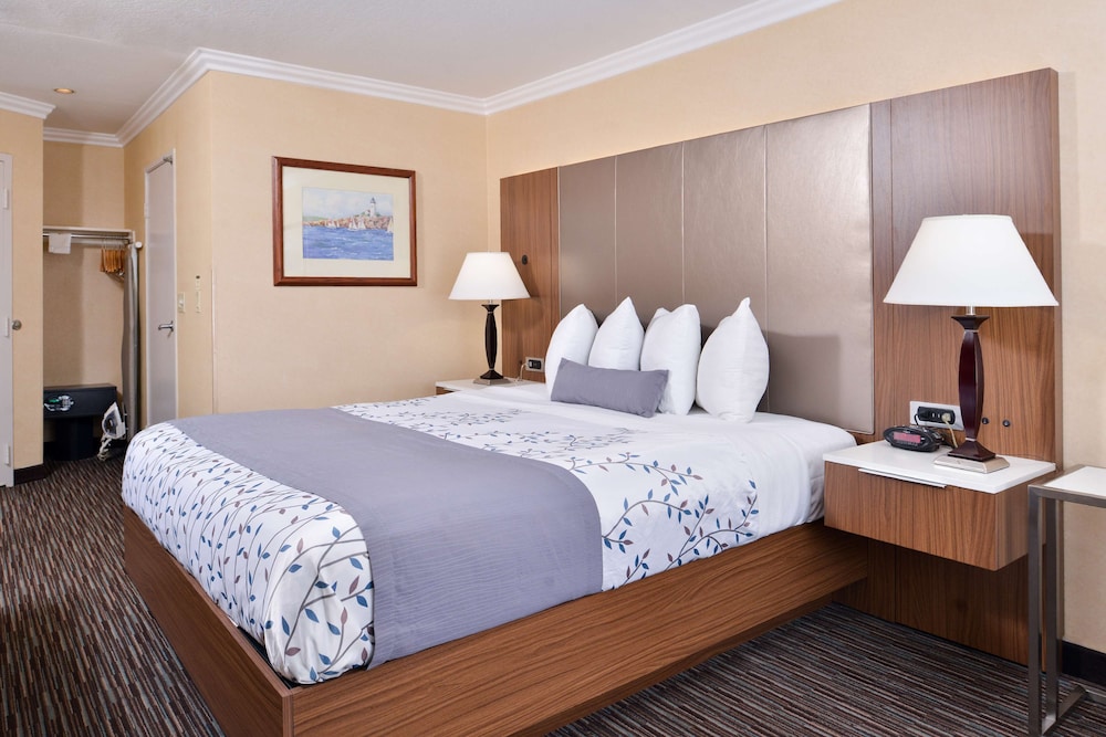Best Western Airpark Hotel LAX Airport LA Stadium - photo 22