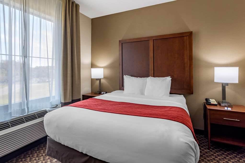 Comfort Inn & Suites Atoka Millington - photo 33