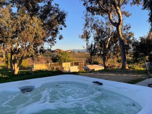 Temecula Rejuvenation — Temecula — photo 4