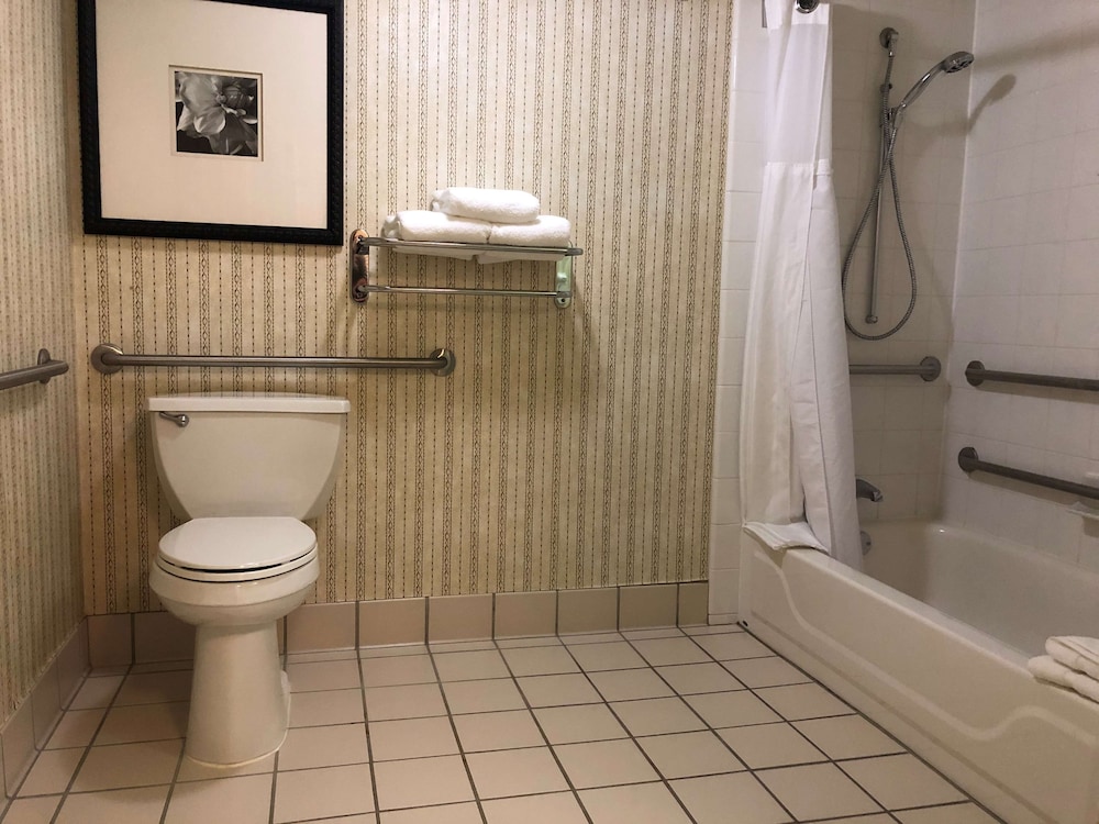 Hilton Garden Inn Addison - photo 18