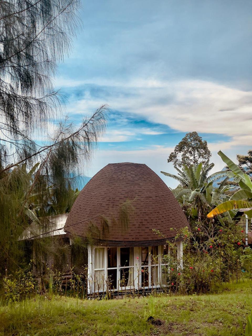 Manulalu Jungle — Bajawa — photo 4