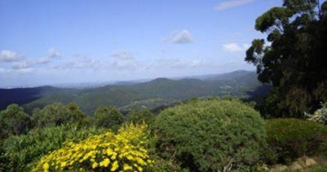 Hillside Country Retreat — Tamborine Mountain