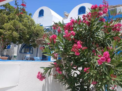 Flora Studios Perissa Santorini — Unknown City — photo 5