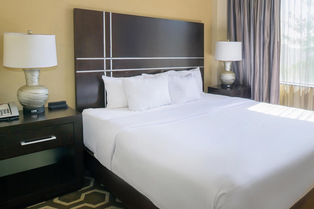 Hampton Inn by Hilton St. Louis Airport - photo 42
