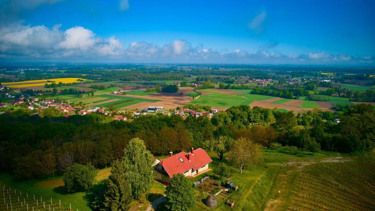 Holiday house Podhamer Boris — 4-Star Luxury Hotel in Ljutomer, Slovenia