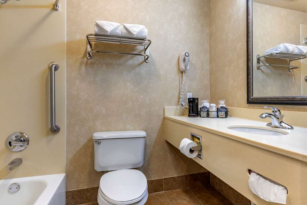 Comfort Inn & Suites Russellville I 40 - photo 12