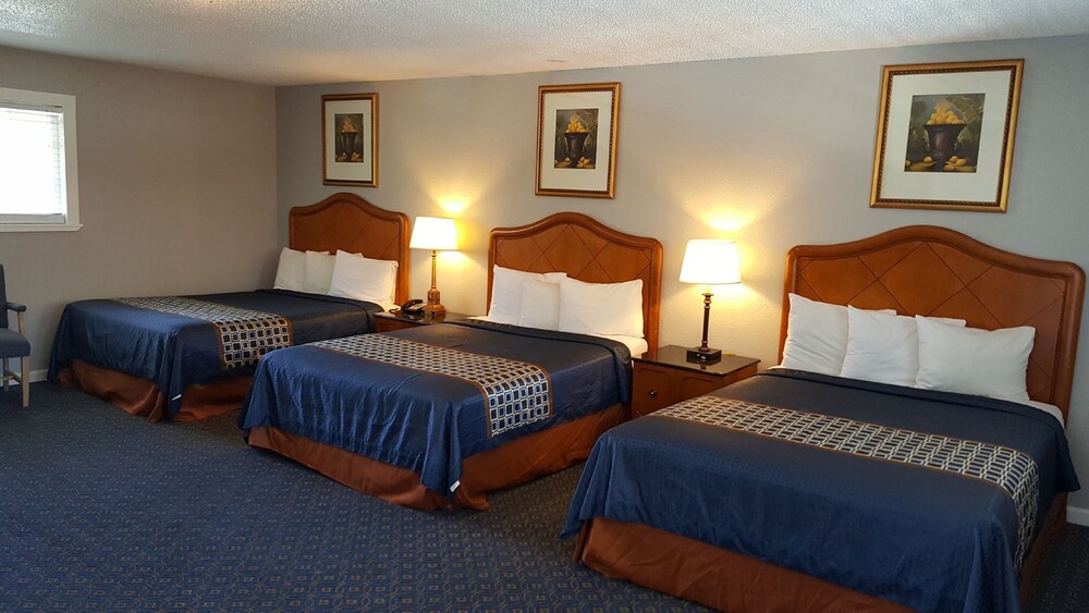 Lake Ridge Hotel - photo 11