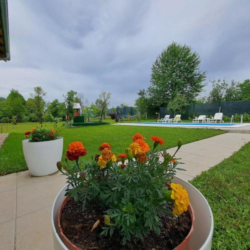 Oaza mira BK in Bosanska Krupa, Bosnia and Herzegovina