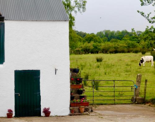 Slemish View — Draperstown — photo 5