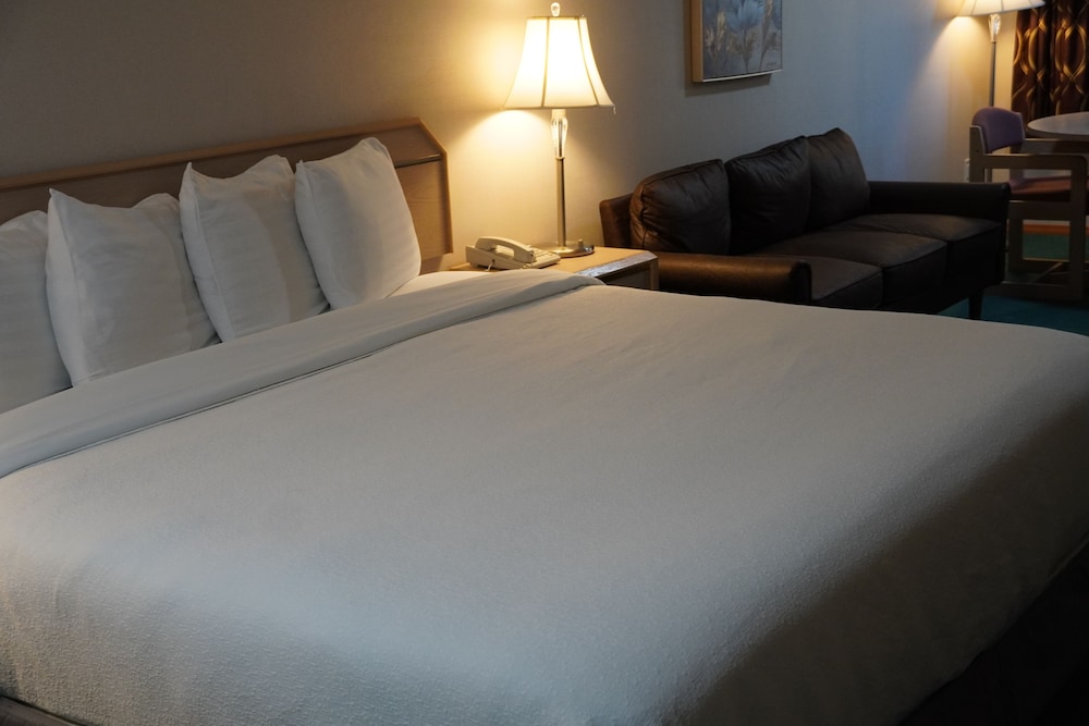 Timberland Inn & Suites - photo 39