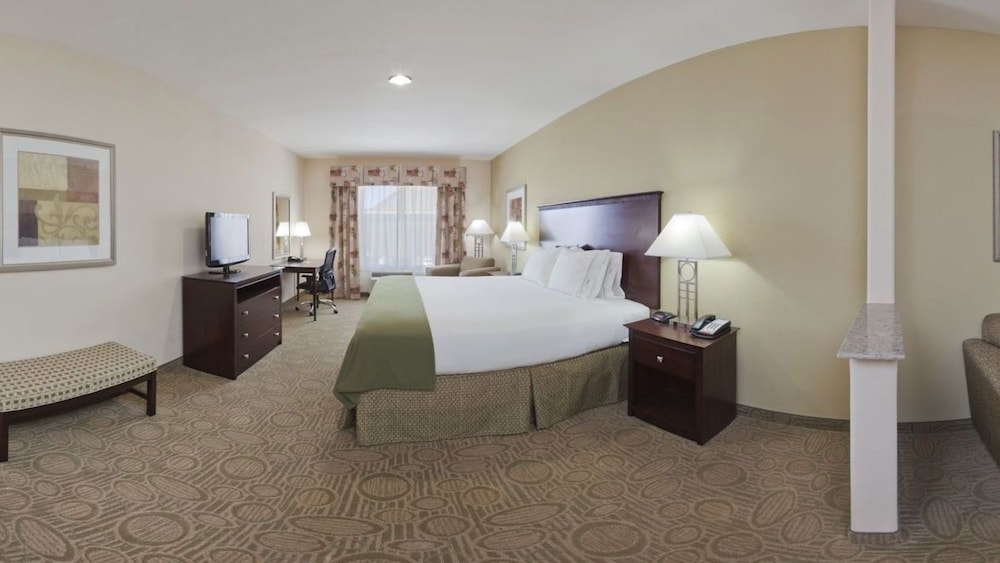 Holiday Inn Express Hotel & Suites Brownfield by IHG - photo 7