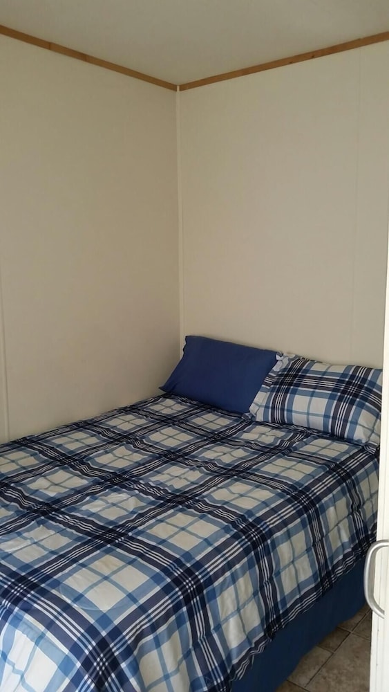 Palmetto Oasis RV Resort - photo 5