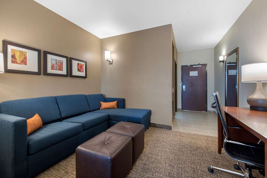 Comfort Suites Denver International Airport - photo 23