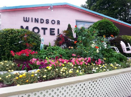 Windsor Motel - photo 12