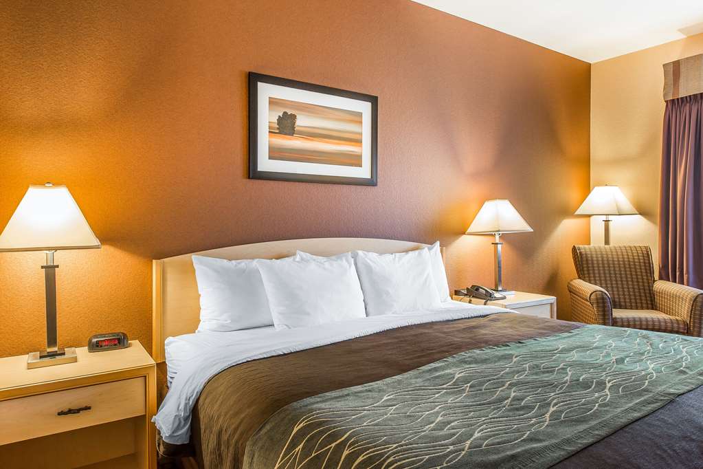 Quality Inn & Suites Loveland - photo 3